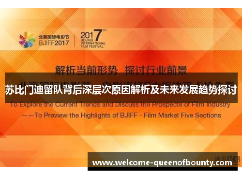 苏比门迪留队背后深层次原因解析及未来发展趋势探讨