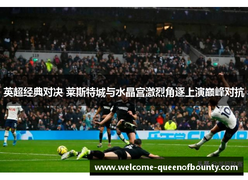 英超经典对决 莱斯特城与水晶宫激烈角逐上演巅峰对抗