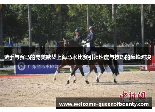 骑手与赛马的完美默契上海马术比赛引领速度与技巧的巅峰对决